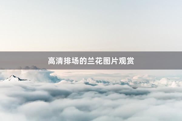 高清排场的兰花图片观赏