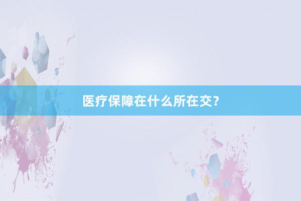 医疗保障在什么所在交？