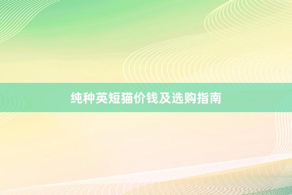 纯种英短猫价钱及选购指南